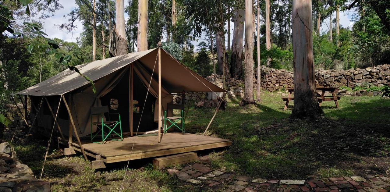 فيلا Tegwaan Country Getaway ووترفال بوفن المظهر الخارجي الصورة